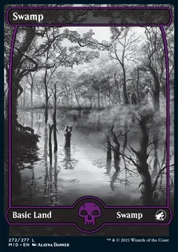 Swamp