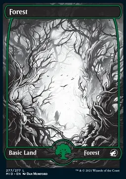 Forest