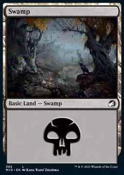 Swamp