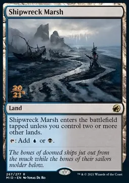 Shipwreck Marsh