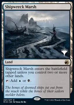 Shipwreck Marsh