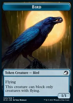 Bird