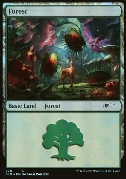 Forest