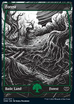 Forest