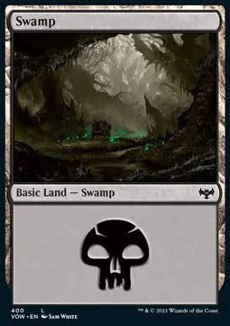 Swamp
