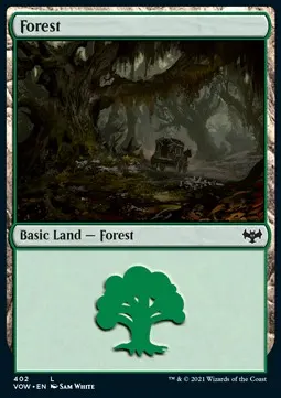 Forest