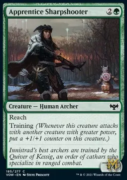 Apprentice Sharpshooter