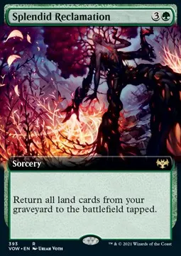 Splendid Reclamation