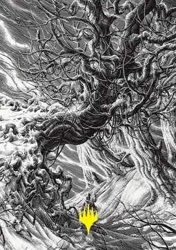 Art Series: Forest
