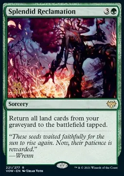 Splendid Reclamation