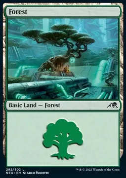Forest