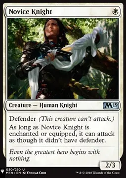Novice Knight