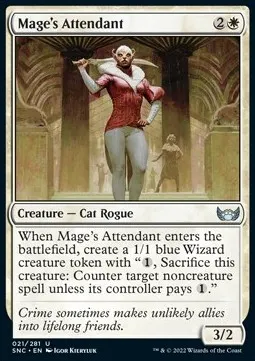 Mage's Attendant