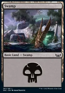 Swamp