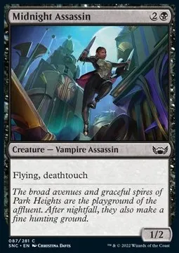 Midnight Assassin