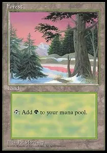 Forest