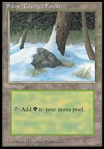 Snow-Covered Forest