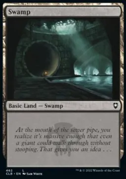 Swamp