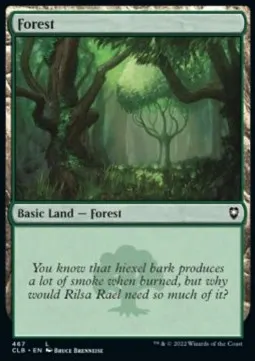 Forest