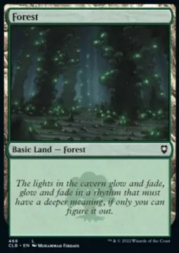Forest