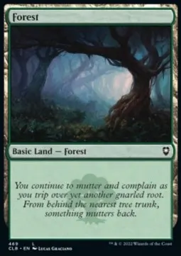 Forest