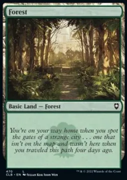 Forest