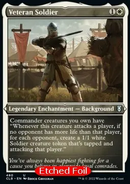 Veteran Soldier