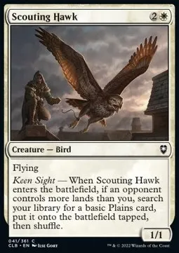 Scouting Hawk
