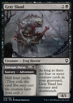 Gray Slaad // Entropic Decay