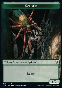 Insect // Spider