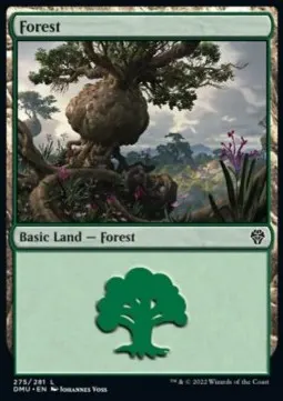 Forest