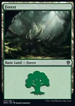 Forest