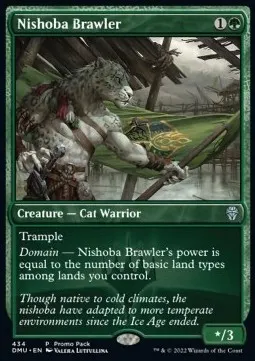 Nishoba Brawler