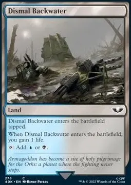 Dismal Backwater
