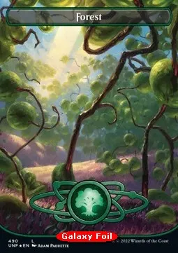 Forest