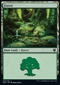 Forest