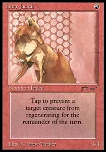 Hurr Jackal