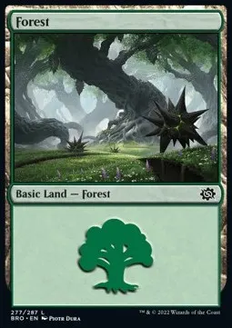 Forest