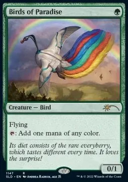 Birds of Paradise