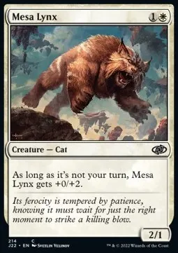 Mesa Lynx