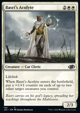 Basri's Acolyte