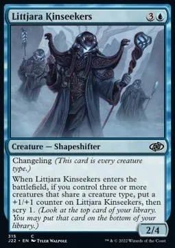 Littjara Kinseekers