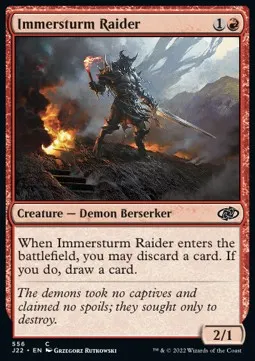 Immersturm Raider
