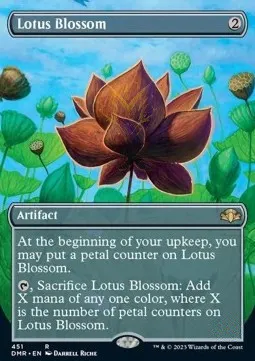 Lotus Blossom