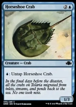 Horseshoe Crab
