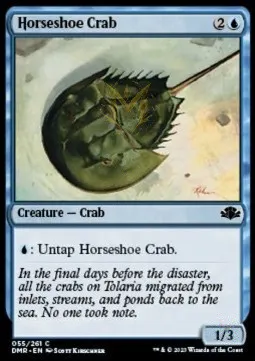 Horseshoe Crab
