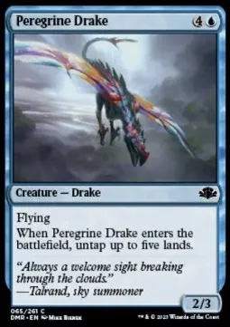 Peregrine Drake
