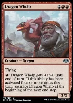 Dragon Whelp