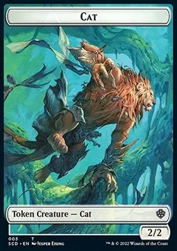 Cat // Insect