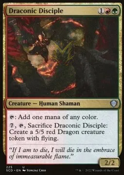 Draconic Disciple